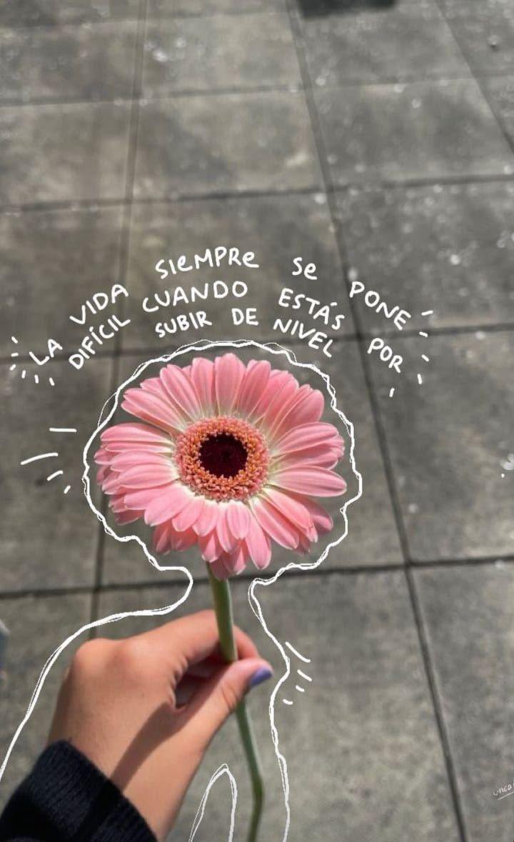 🌸
