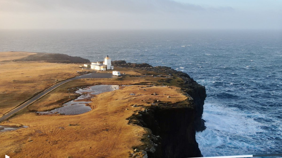 derekmcl tweet media