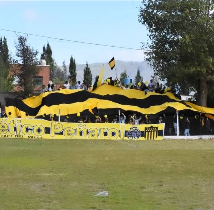 Tucu Manya tweet media