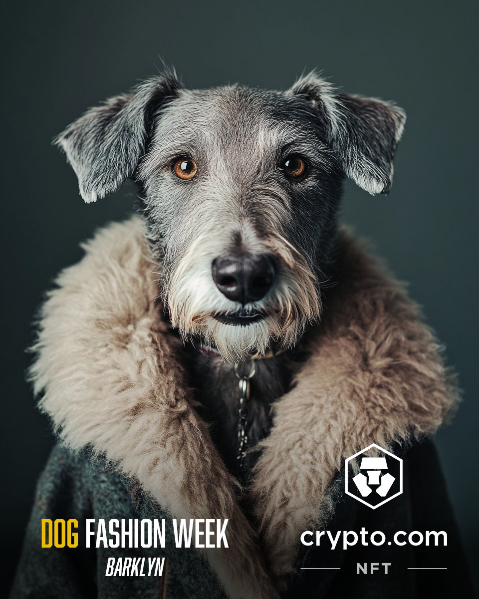 Satoshi.AI (@satoshi_aiart) on Twitter photo 🚨 CFW x CSLIM 🎁 Giveaway Alert 🚨
Cat Fashion Week Drop will begin in 24 hours on <a href="/cryptocomnft/">Crypto.com NFT</a> !🐾
🏆 2x Random CFW NFT
🏆 1x The World #4304
1️⃣ RT + ❤ + Tag #crofam (multiple✅)
2️⃣ Follow <a href="/satoshi_aiart/">Satoshi.AI</a> + <a href="/cslim_aiart/">CSLIM</a>
(⏰ 72 Hours!)
Drop gate:
crypto.com/nft/drops-even… 🚨 CFW x CSLIM 🎁 Giveaway Alert 🚨
Cat Fashion Week Drop will begin in 24 hours on <a href="/cryptocomnft/">Crypto.com NFT</a> !🐾
🏆 2x Random CFW NFT
🏆 1x The World #4304
1️⃣ RT + ❤ + Tag #crofam (multiple✅)
2️⃣ Follow <a href="/satoshi_aiart/">Satoshi.AI</a> + <a href="/cslim_aiart/">CSLIM</a>
(⏰ 72 Hours!)
Drop gate:
crypto.com/nft/drops-even…
