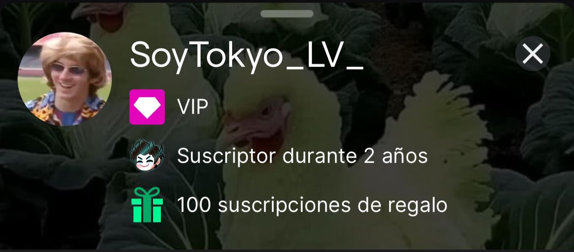 AlleyTokyoCat🐈‍⬛ tweet media