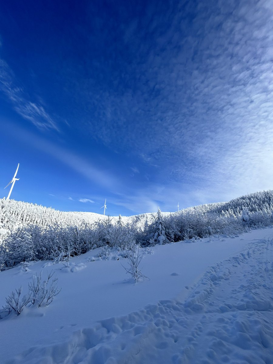 edbeaupro's tweet image. Dans la cour arrière ⛷️