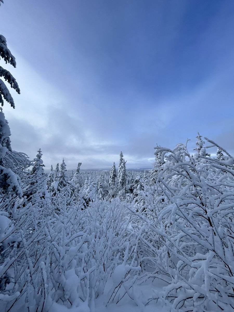 edbeaupro's tweet image. Dans la cour arrière ⛷️