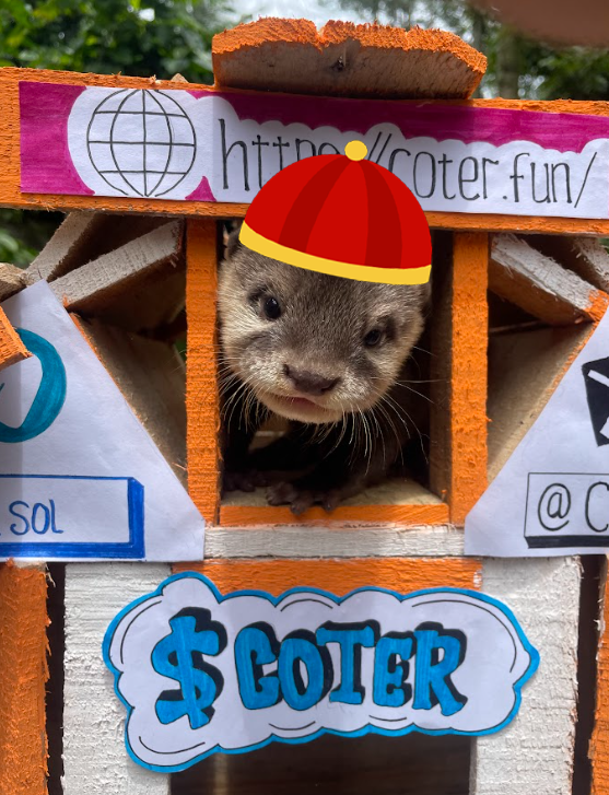 COTER_sol's tweet photo. Is this the Chinese otter meta? https://t.co/m0mDXg8VdF