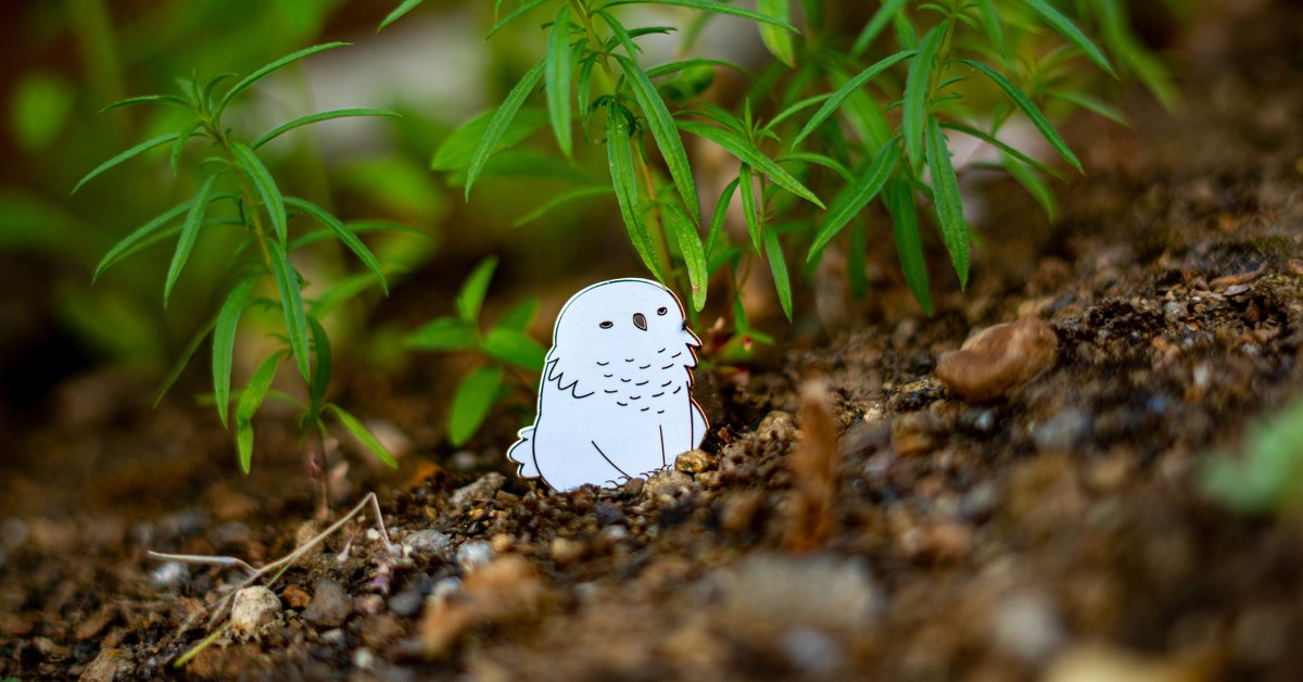 Baby Bestiary tweet media