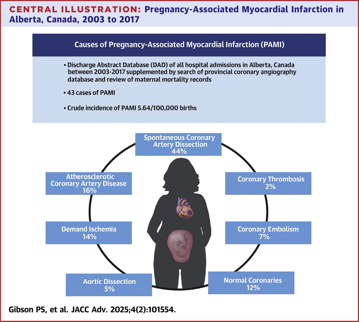 Pregnancy-associated myocardial infarction (PAMI) is an important cause of morbidity or mortality. The mechanism varies significantly depending on the timing of PAMI occurrence, with SCAD being the most common cause in the postpartum period. #CardioObstetrics #cvMI