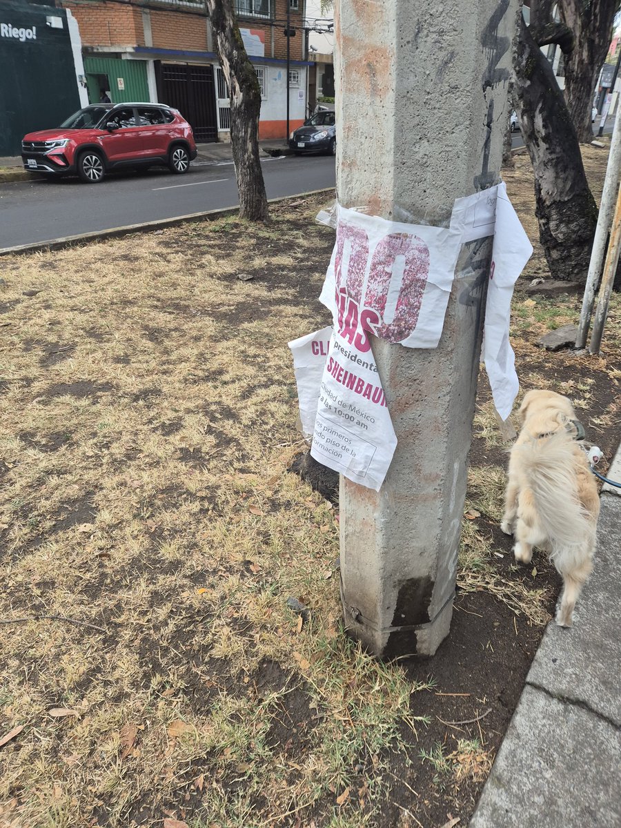 cawoolfolk's tweet photo. Cuanto costo el  evento de 100 dias @Claudiashein ? nadie lo pidio, gasto mucho dinero de los impuestos que tanto cuestan y  que pudo servir para otra cosa mas urgente que requiere la sociedad  @SATMX  y ademas genero mucha basura @Alcaldia_Coy asi es el pinche @BuenGobierno_mx https://t.co/YCqOjziC4w