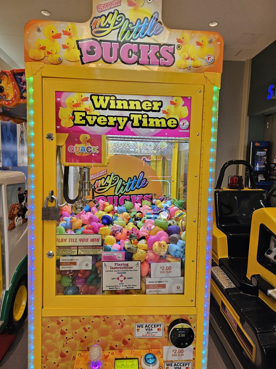 Cynthia Szabo tweet media