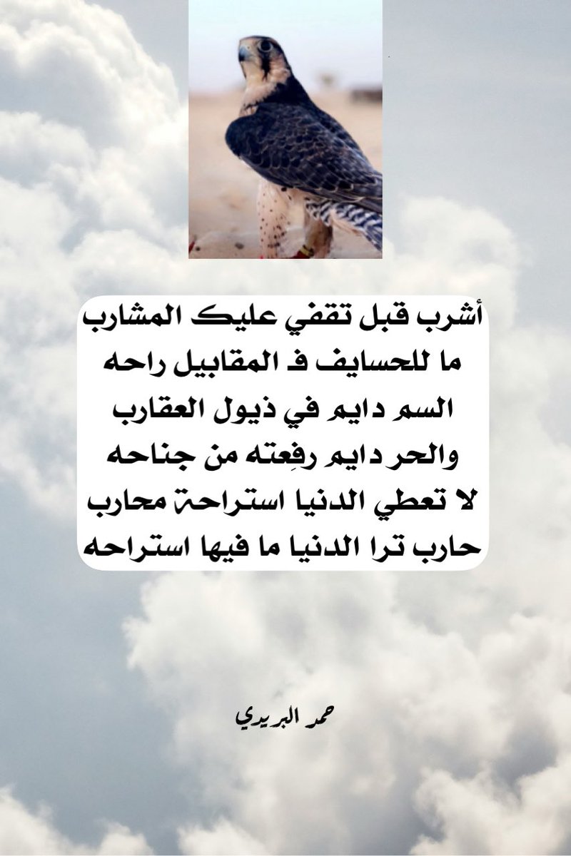 vip خاص نوادرالابل (@vib151515) on Twitter photo 