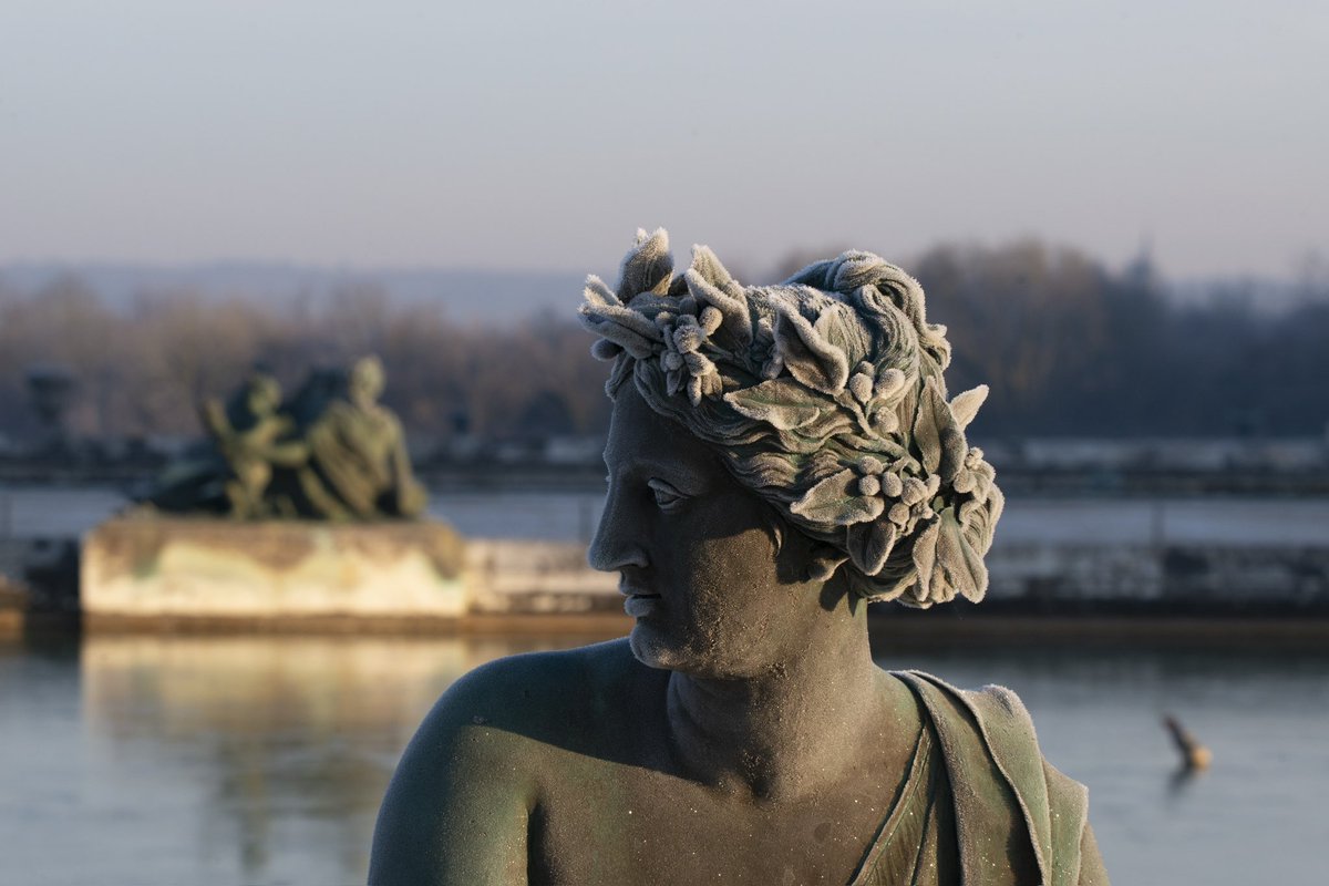 CVersailles's tweet photo. 🇫🇷 Ce matin, les jardins de Versailles étaient couverts de givre.
🌍 This morning, the gardens of Versailles were covered in frost. https://t.co/8jY0W62Op3