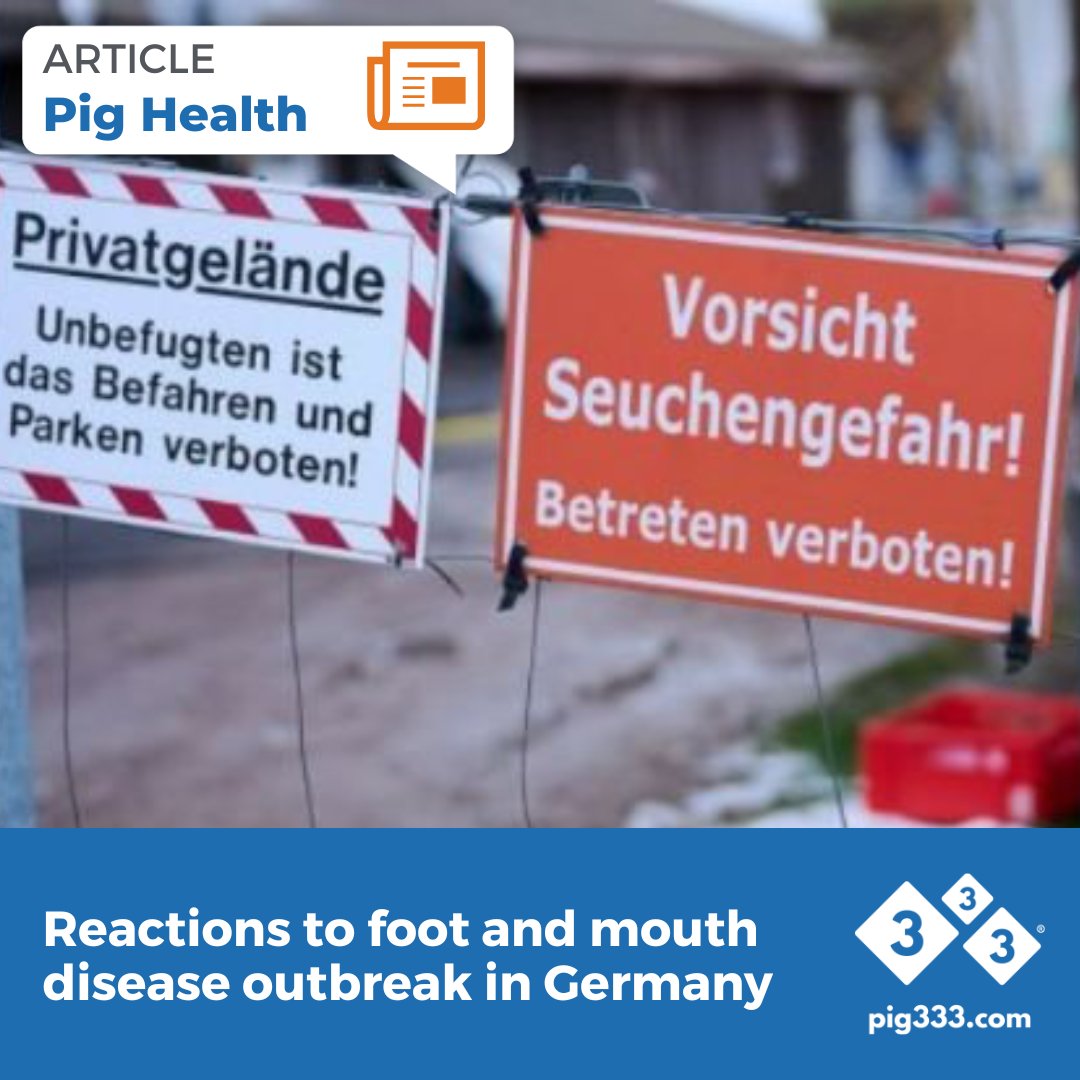 🚨 Reactions to Foot-and-Mouth Disease in Germany: Following the first outbreak in 37 years, livestock organizations and authorities are working to contain the disease. 

🔗 Learn more about the reactions and measures taken here: pig333.com/latest_swine_n…