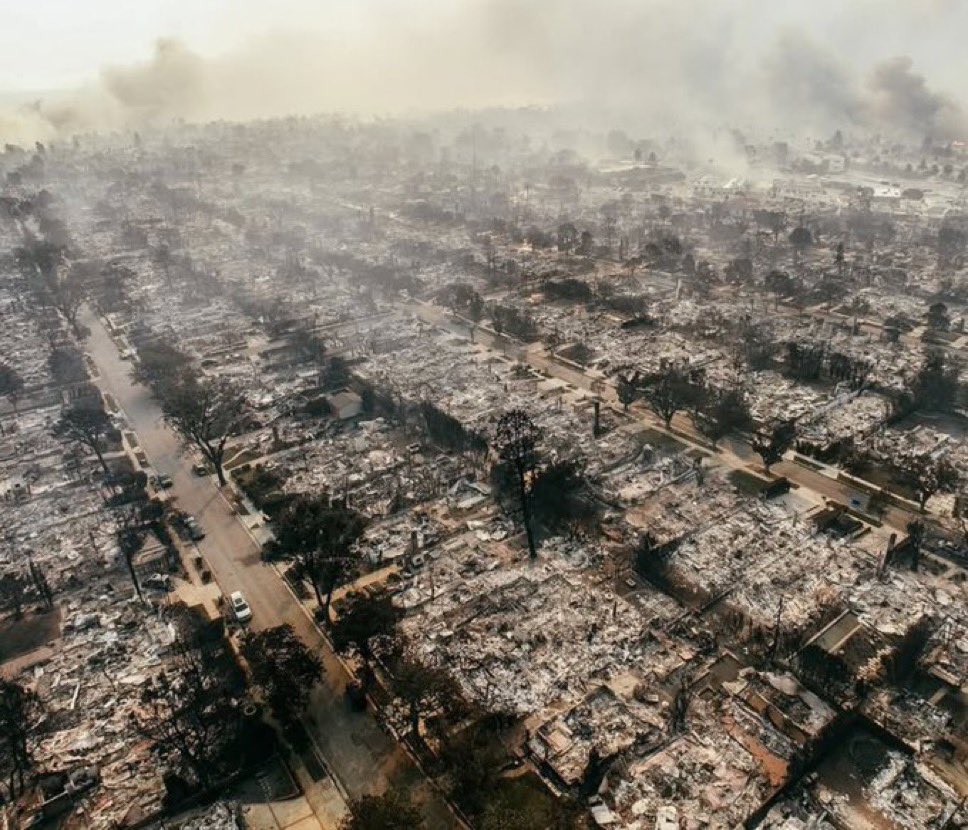 Police have released mugshots of over 40 people, who have been arrested for looting during the California wildfires…