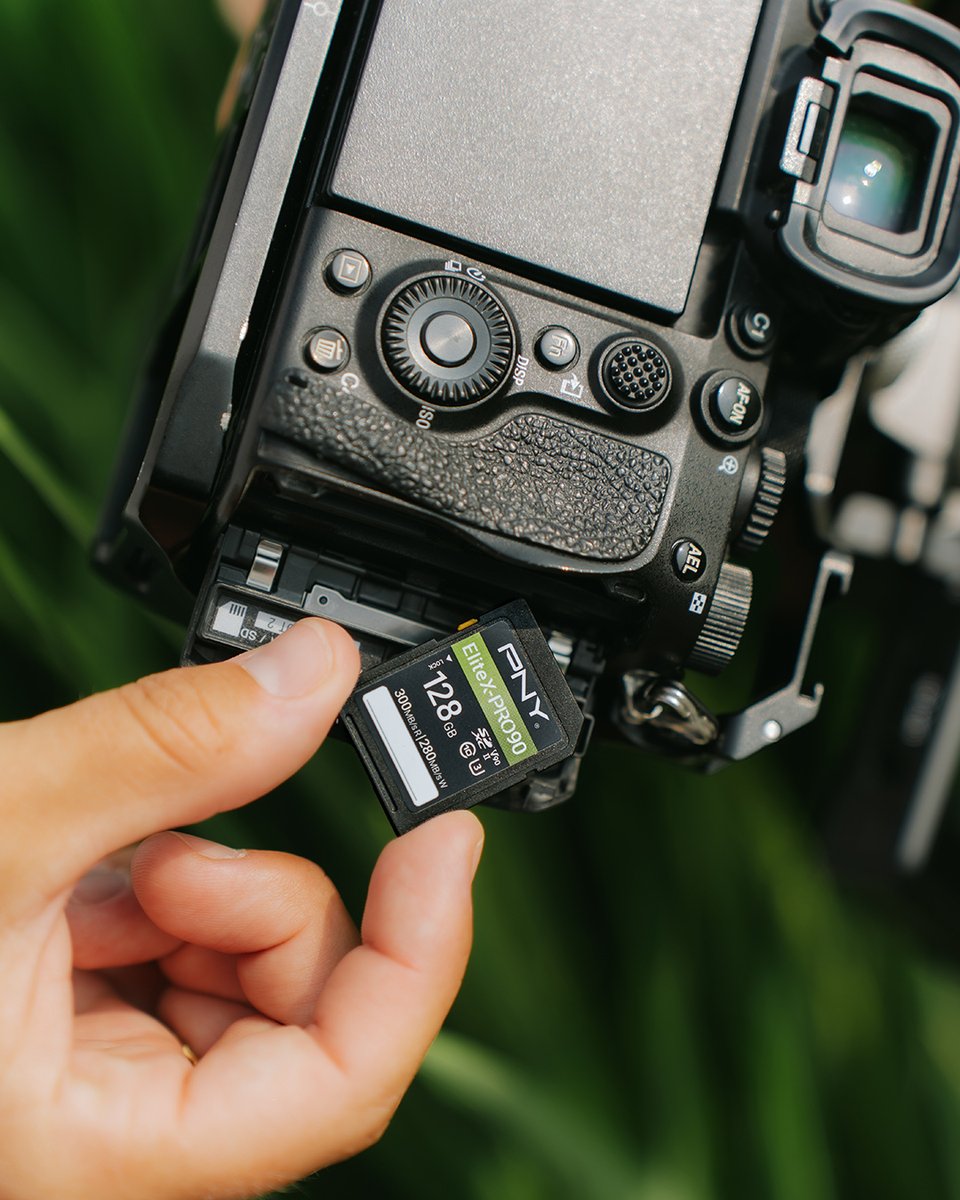 PNYTechnologies's tweet image. Capture nature’s finest details and store them with confidence 🌿📸 #CreateStoreGame #PNY
IG: lesmoonwalkers