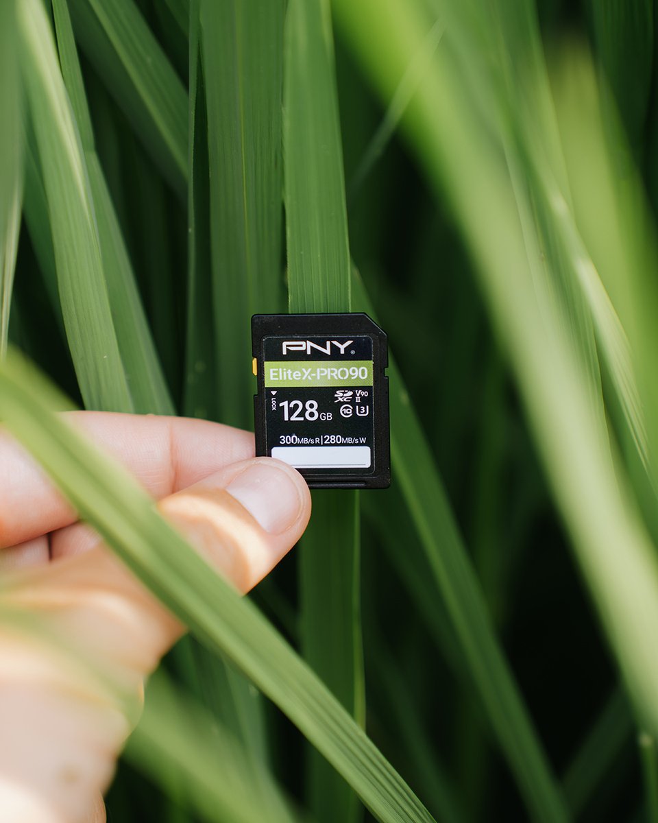 PNYTechnologies's tweet image. Capture nature’s finest details and store them with confidence 🌿📸 #CreateStoreGame #PNY
IG: lesmoonwalkers