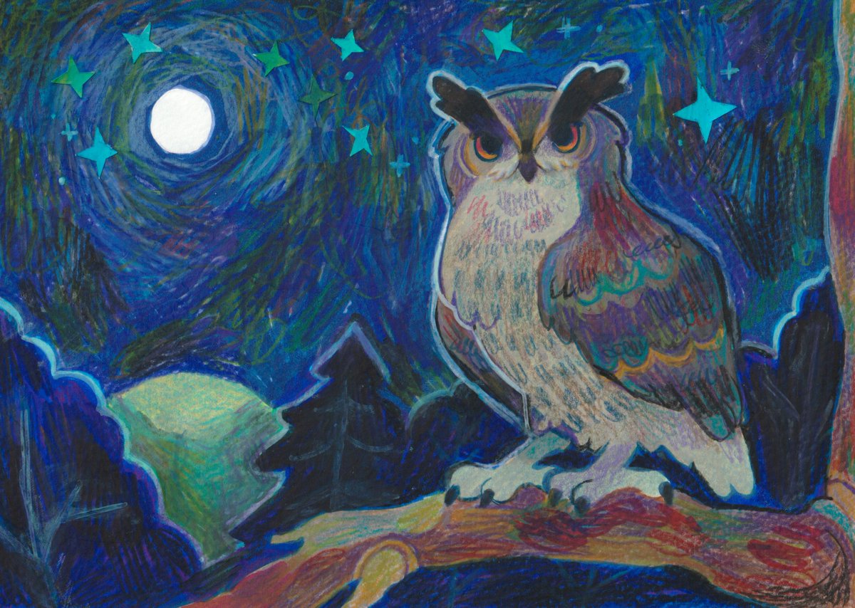🦉⋆.˚ ☾ .⭒˚