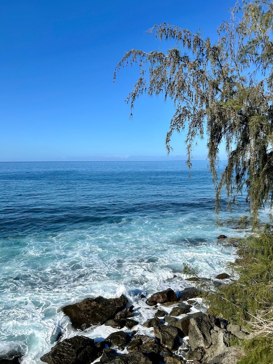 PyreneesWorship's tweet photo. #Canarias 😍 https://t.co/zb2GYNizsi