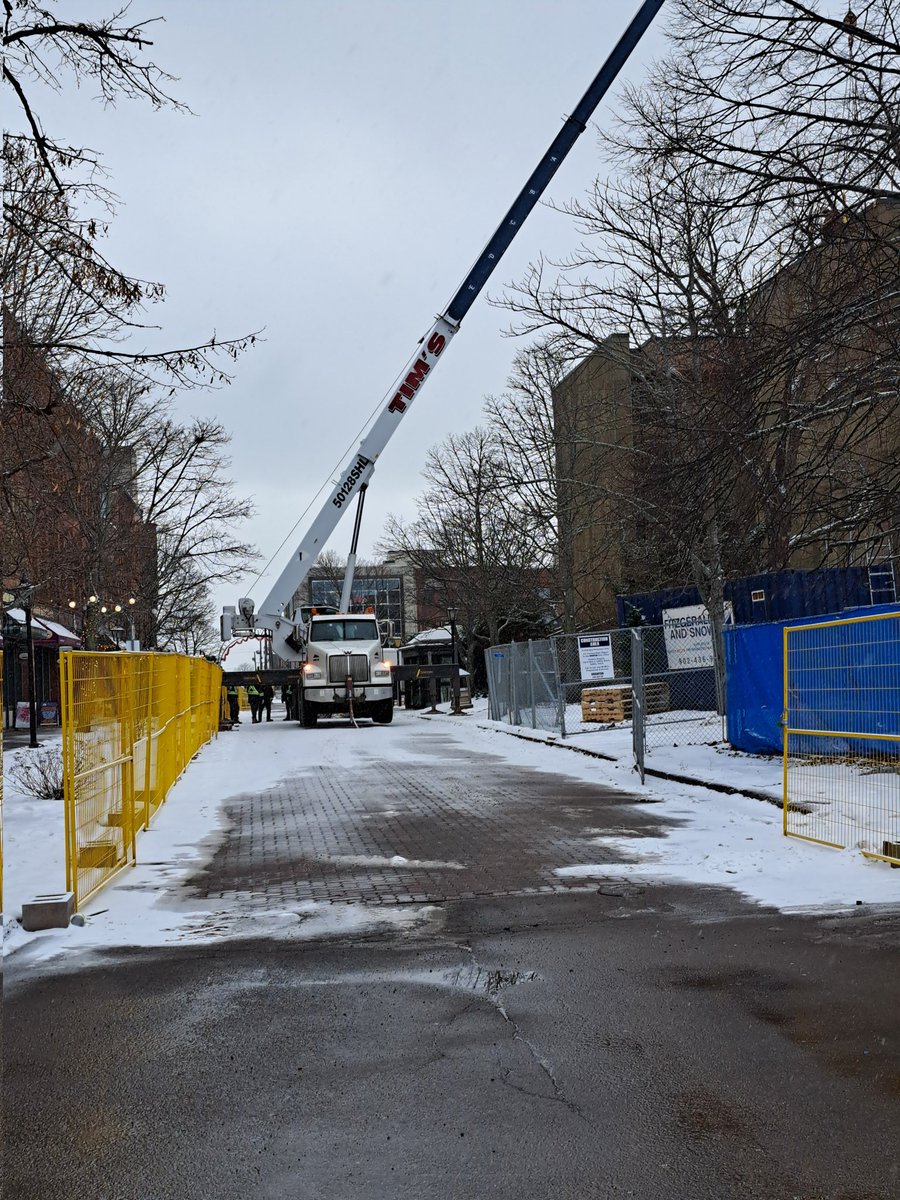 🇵🇸Intifada Globalizer🍉 tweet media