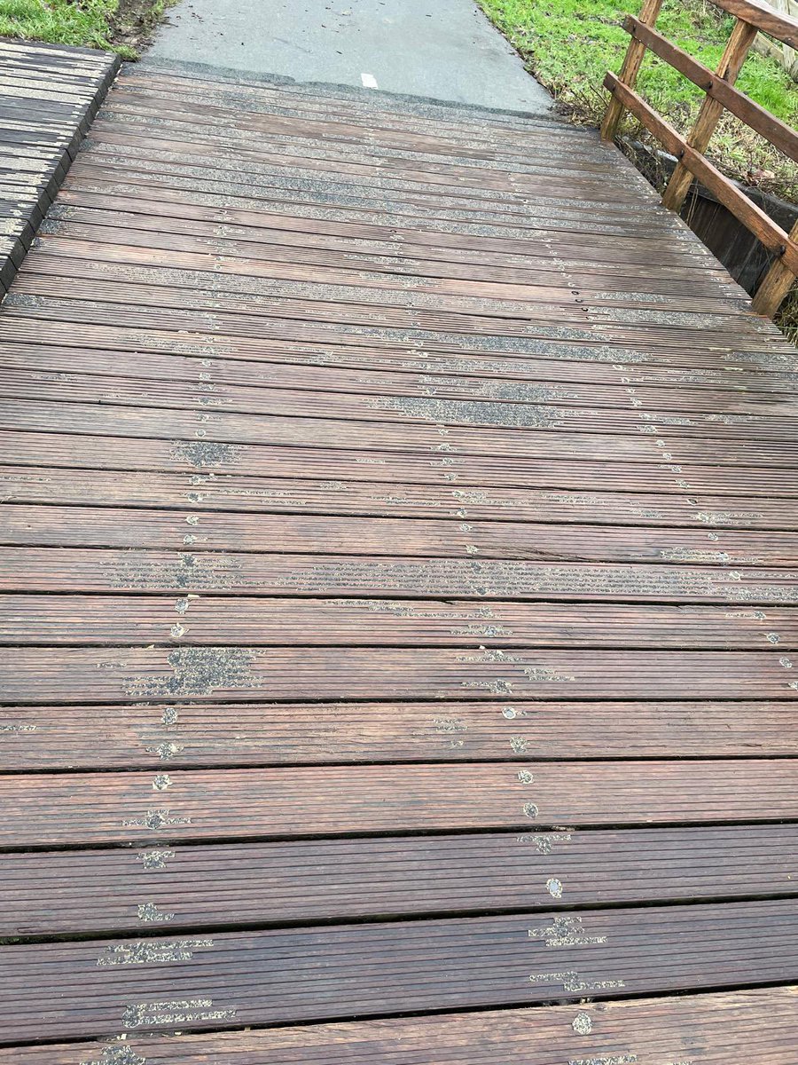 Edwin Bijl tweet media