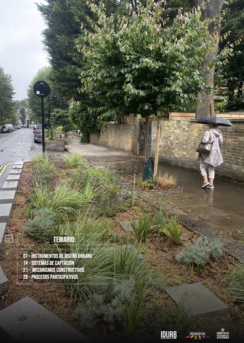 _lepmx's tweet photo. Nuestro segundo curso de febrero ya está disponible: Diseño y construcción de Jardines Infiltrantes de Lluvia 🌧️Cupo limitado a 25 personas. 

📆Fechas:   07, 14, 21 y 28
⏰ Horario: De 19:00 a 21:00 H
📲 Modalidad: En línea
🗺 Costo: $2,000.00 MN.

https://t.co/SSfNKV33vI https://t.co/Q0qILeMHBw