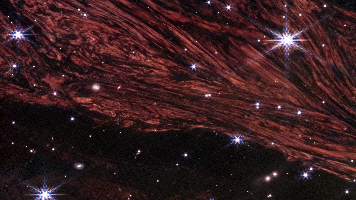 Bill Nelson tweet media