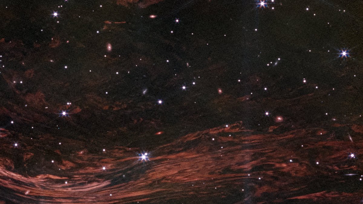 Bill Nelson tweet media