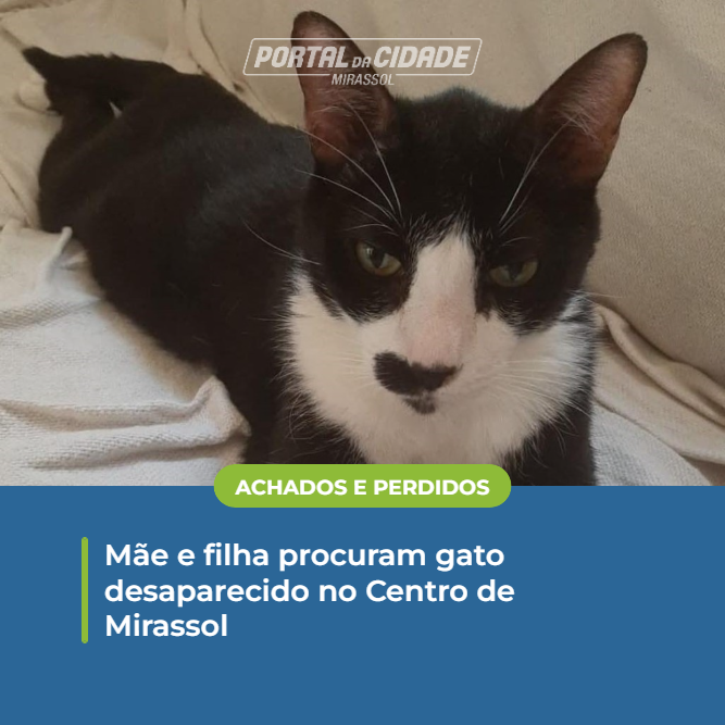 ACHADOS E PERDIDOS | 🐱🐱 Gatinho Biscoito, de 11 anos, está desaparecido desde sábado (11); família pede ajuda para localizá-lo

➡Matéria completa no link 👇

portaldacidade.co/ead53ea2ff