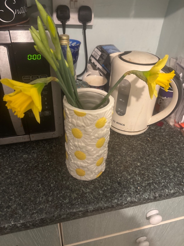 elisabetha678's tweet image. I know Blue Monday is approaching, but daffodils are soothing. Daffodils are a symbol of Spring and the splendour of watching the fruition of Spring (which is not that far off now) is very comforting #BlueMonday #CopingStrategies #Daffodils