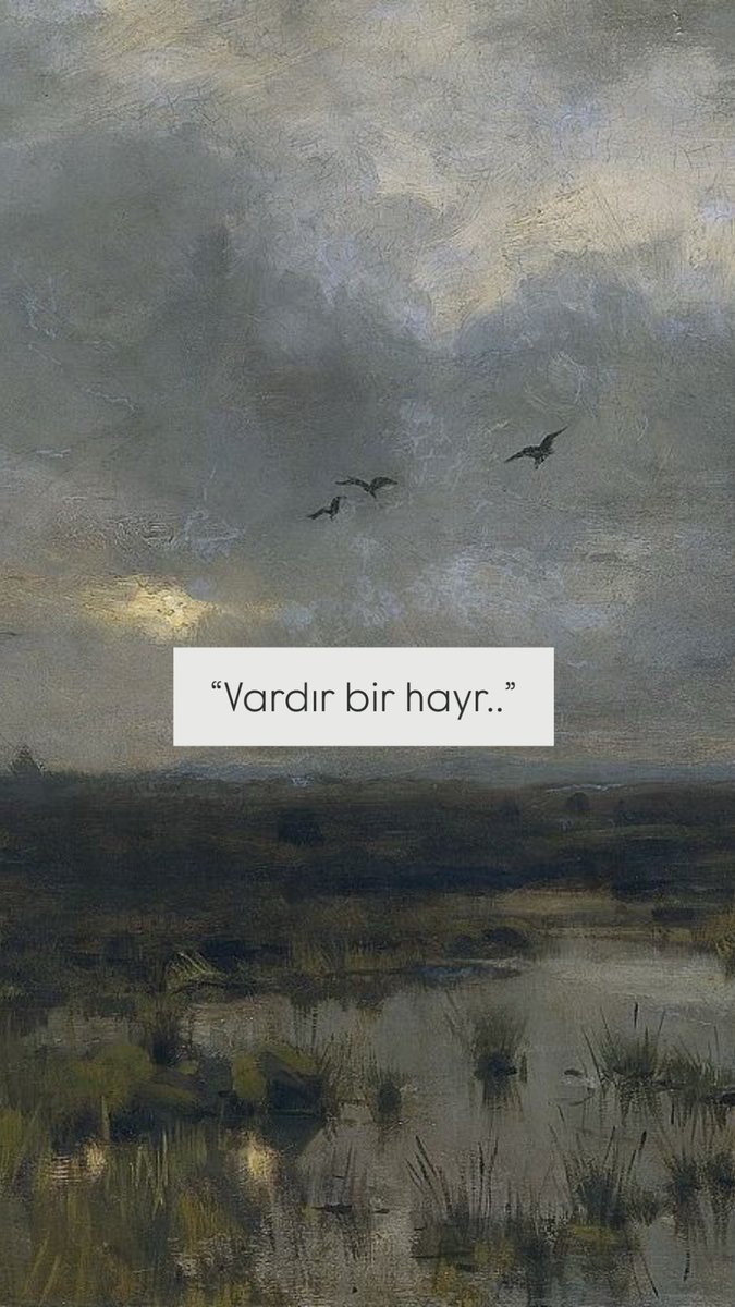 𝔞𝔩𝔟𝔞𝔩𝔦𝔞 (@birmahzunn) on Twitter photo 