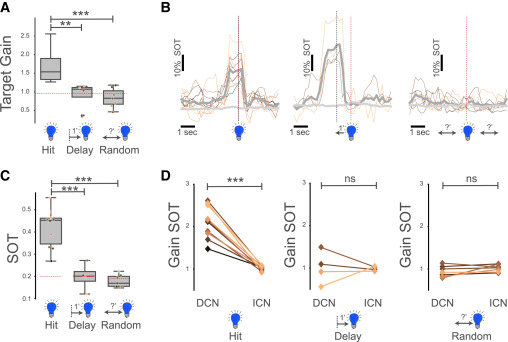 Online now:  Dopamine D1 receptor activation in the striatum is sufficient to drive reinforcement of anteceding cortical patterns dlvr.it/THMBJm