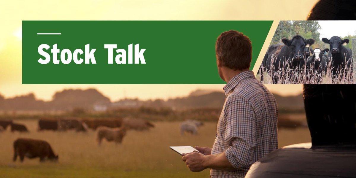 MBGovAg's tweet photo. Tune in today, Jan. 16, 2025, for the #MBAg #StockTalk series featuring expert-led presentations on livestock and forage management. Don’t miss it! Sign up now at https://t.co/3dQOQkBvnW. #MBBeef https://t.co/C5ZG3jueNz