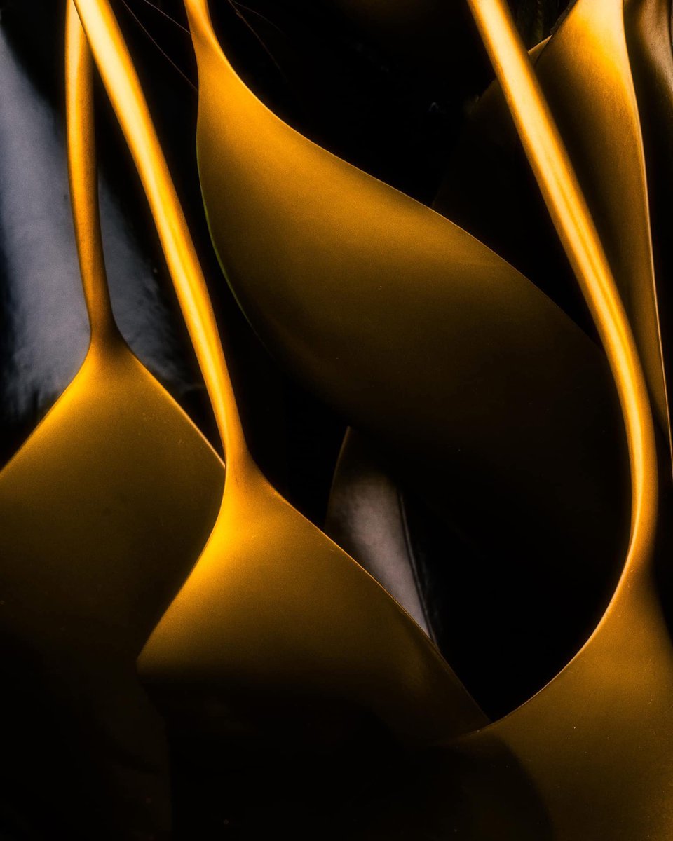 mark_lj's tweet image. &apos;Kelp&apos; the book is here and available to buy.

I&apos;m not sure that its a book that will ever get made into a film, but if you do fancy a book about the understated beauty of seaweed, the link to buy it is is underneath.

kozubooks.com/books-new/kelp…