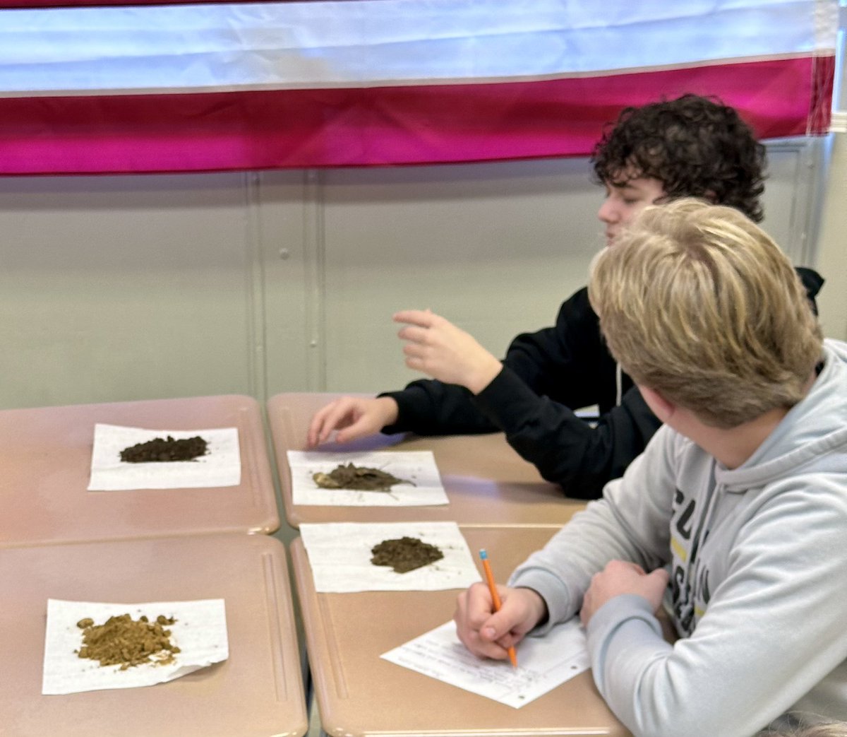 Cullman FFA (@cullmanffa) on Twitter photo Fundamentals of Agriscience students returned for a lesson on soils, maps, and pH. Students partnered to discuss soil textures and potential uses for those soils. #agriscience #CTE <a href="/LindsayBrannon/">Lindsay Brannon, Ed.S., NBCT</a> <a href="/CullmanCats/">Cullman High School</a> Fundamentals of Agriscience students returned for a lesson on soils, maps, and pH. Students partnered to discuss soil textures and potential uses for those soils. #agriscience #CTE <a href="/LindsayBrannon/">Lindsay Brannon, Ed.S., NBCT</a> <a href="/CullmanCats/">Cullman High School</a>