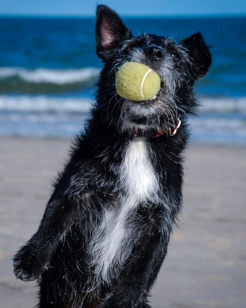 theopioidspoonproject tweet media