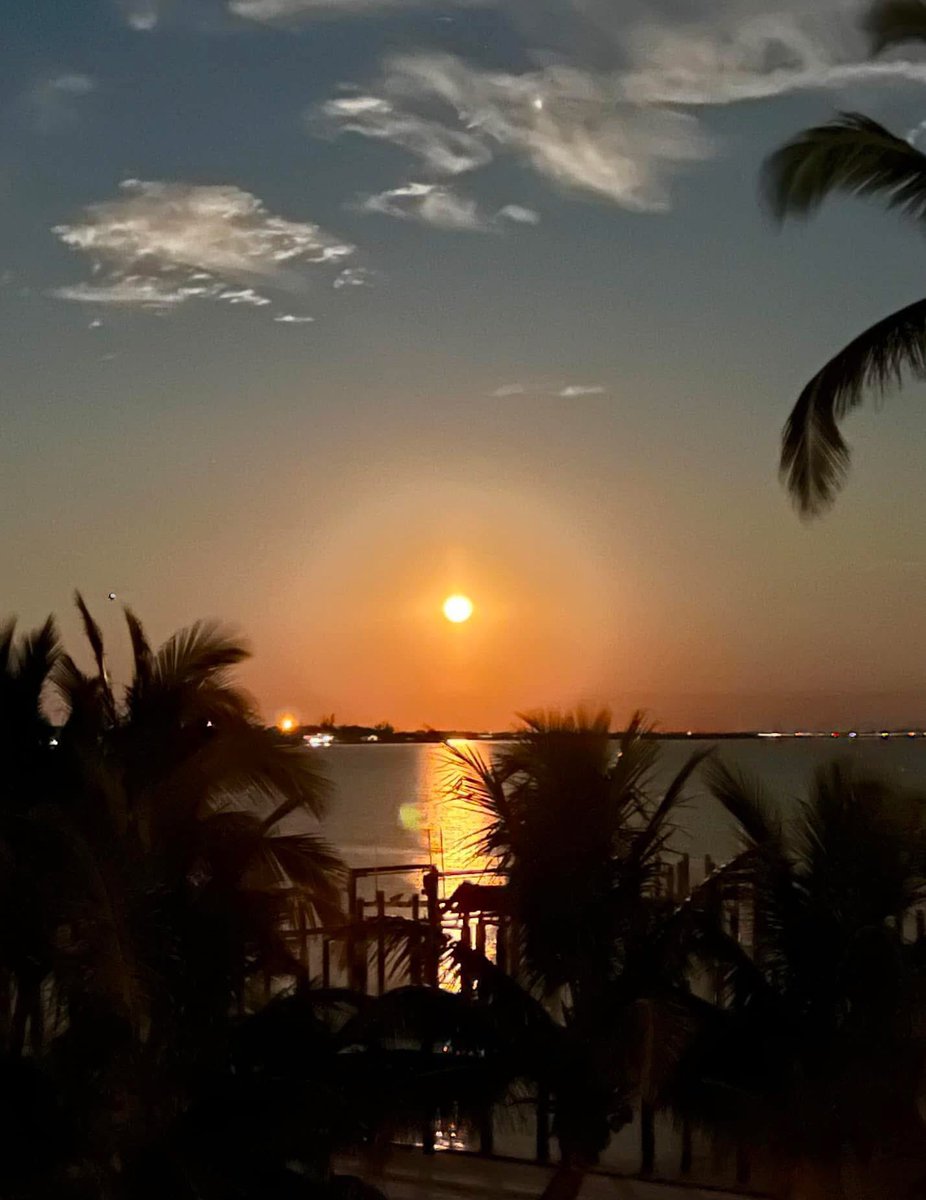 MattDevittWX's tweet photo. WOW! That’s not the sun, but the bright *moon* rising this evening from Port Charlotte, #Florida. What a shot! 🌕🌴 Credit: WINK viewer Melody @stormhour @WINKNews https://t.co/Wi7Kdv54o3