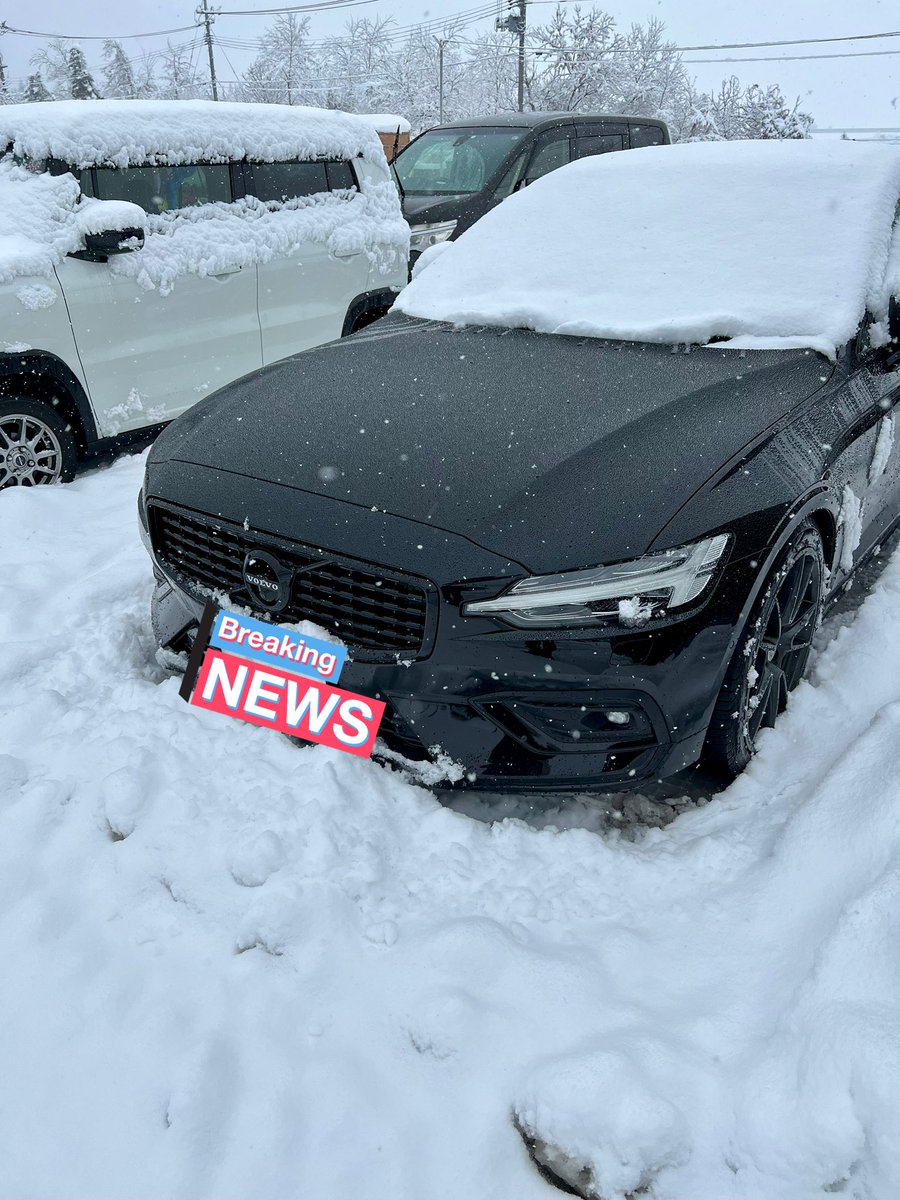 ajiman_s60's tweet photo. QD2.0の撥水がやばすぎて雪降ろす前にボンネットの雪が滑り落ちとる😳
2週間前の施工でしかも撥水弱りやすい冬場でこれはすごい！
流石に濡れ雪限定だけど
傷付くようで意外と滑り落ちる分には傷も付かないんだよね😌

#神風コレクション
#KAMIKAZECOLLECTION
#QUICKDETAILER https://t.co/LCefH0xvPV
