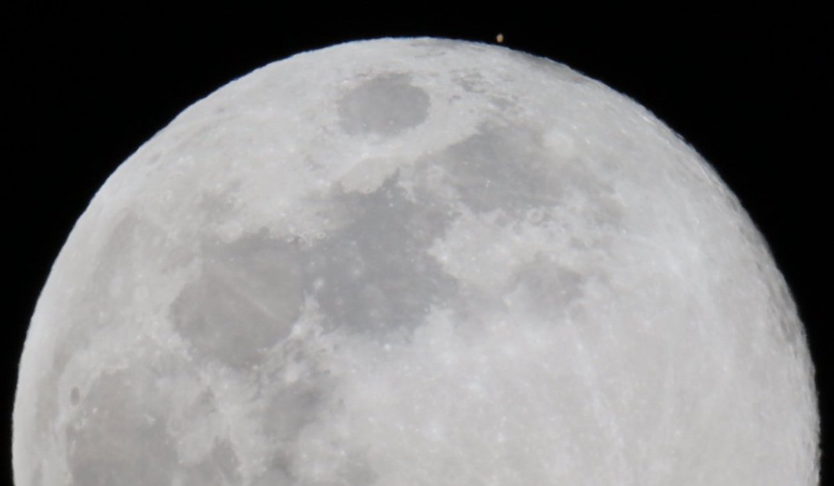 Celestron's tweet photo. 🌌 Mars Meets the Moon 🌙✨
#Celestronemployee Kevin K. captured the stunning #LunarOccultation of #Mars on January 13th, using the #Celestron #NexStar #6SE from #SoCal.
Slide through the carousel to see Mars emerge from behind the Moon! 🪐🔭
#Astrophotography https://t.co/vu4vmDOcqU