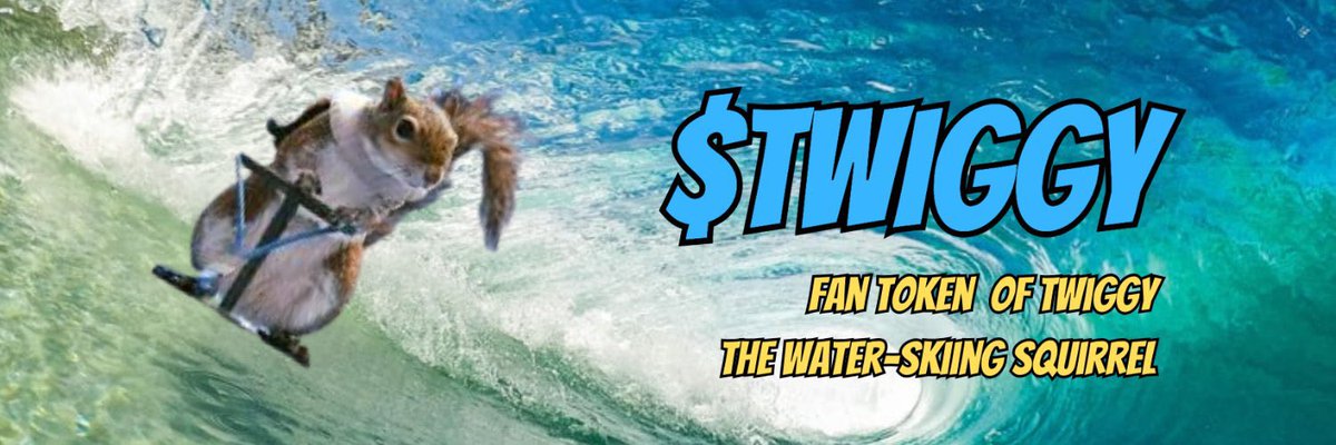 🚨GIVEAWAY ALERT🚨

⏰ 24 hours 

How to win⁉️

1) FOLLOW - <a href="/twiggyonsol/">TWIGGY The Squirrel | FAN Page</a> &amp; @TwiggysInc 
2) RAID - this space using $TWIGGY,  <a href="/twiggyonsol/">TWIGGY The Squirrel | FAN Page</a> &amp; @TwiggysInc 
3) TAG - 3 people below
4) LIKE - pinned post on <a href="/twiggyonsol/">TWIGGY The Squirrel | FAN Page</a> profile