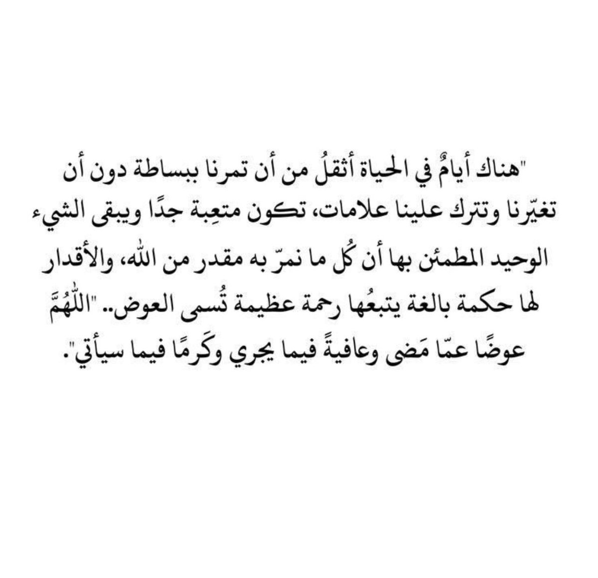 s_551 tweet picture