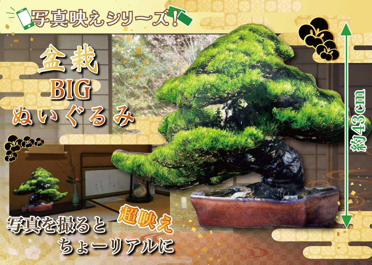 SUNPLAZA NEWS📣 ＼1月NEWアイテム✨／ 【写真映えシリーズ！盆栽BIG