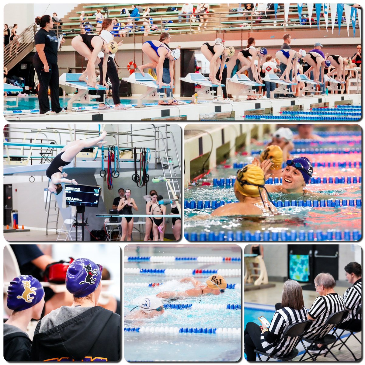 PSD_ATHLETICS's tweet photo. https://t.co/lZdr4gYMcn