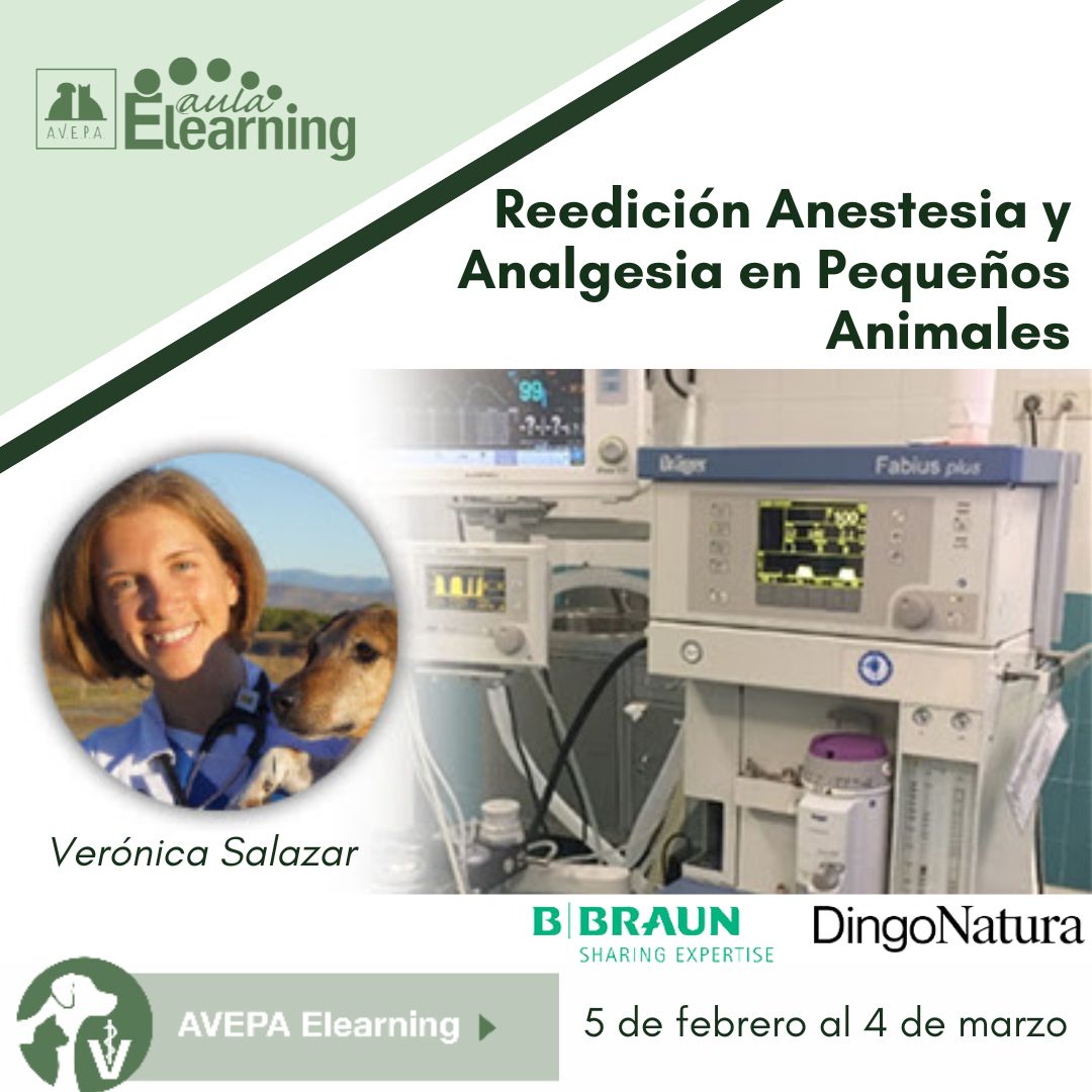 AVEPA_vet's tweet photo. Empieza 2025 acercándote a tus #metasprofesionales: Inscríbete al #cursoonline "Actualización en #Anestesia y #Analgesia de #PequeñosAnimales".
Actualízate en farmacología, monitorización y RCP.
Más info: https://t.co/na0t3PYStn
#AVEPAElearning #Veterinaria #FormaciónVeterinaria https://t.co/ATgM8cRyAt