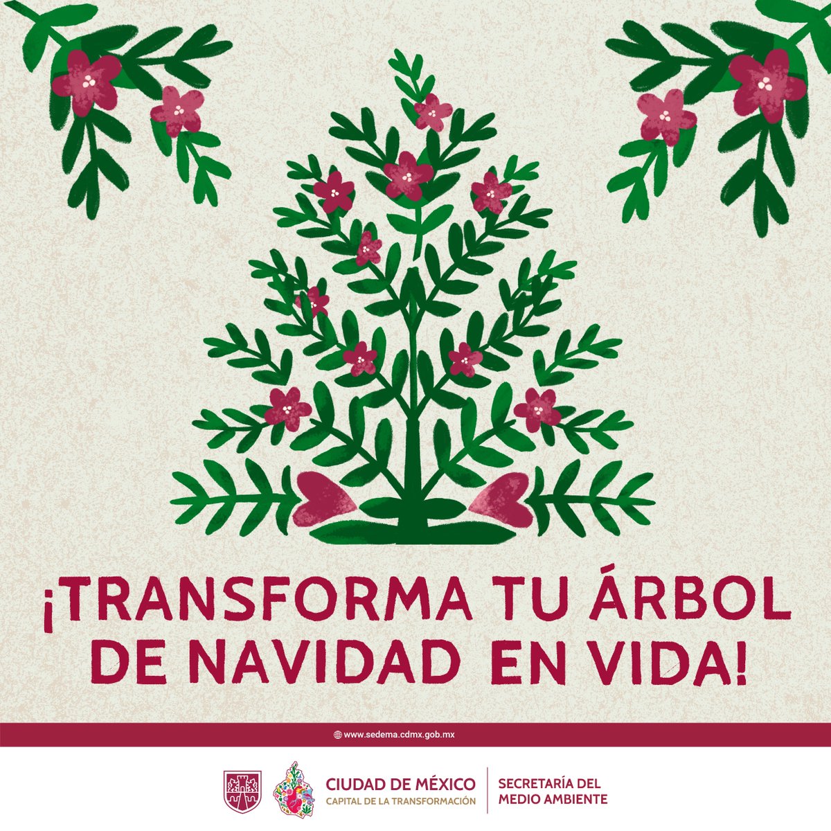 Secretaría del Medio Ambiente tweet media