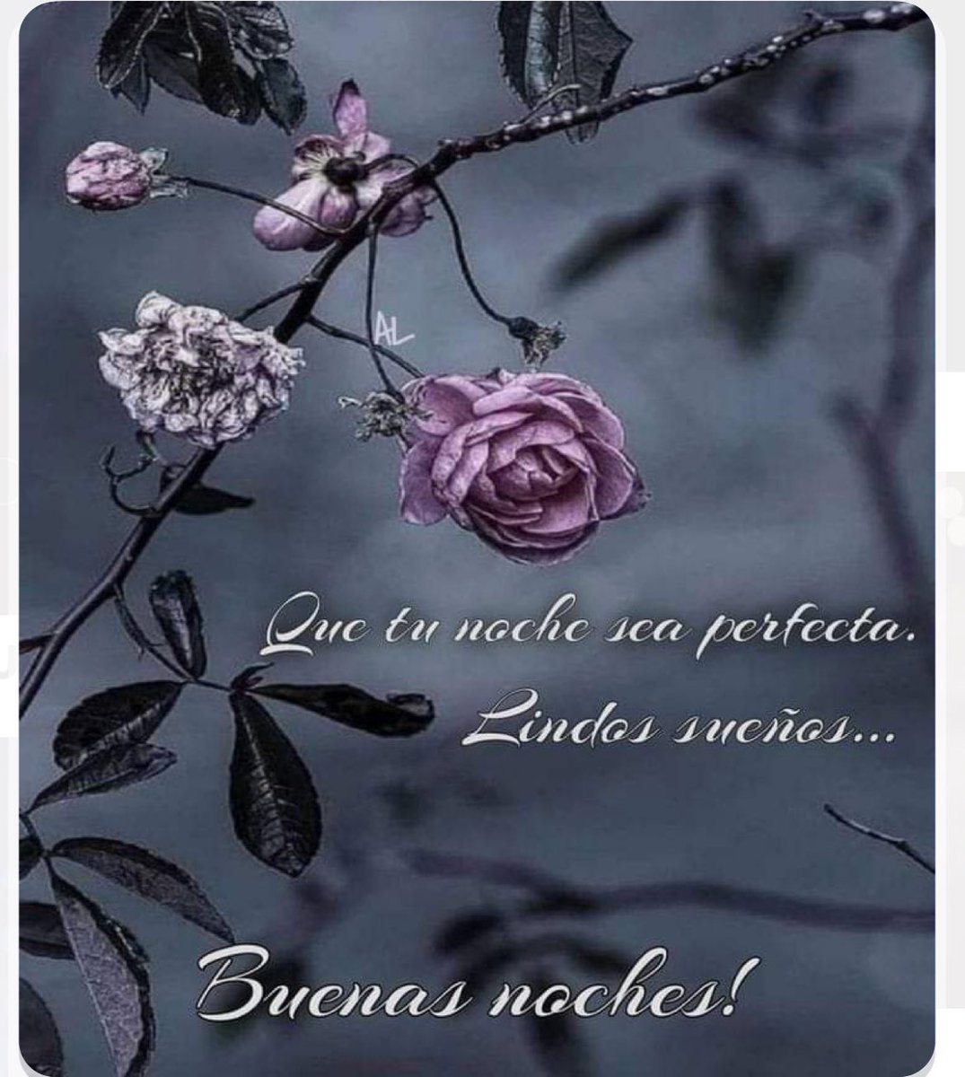 Celina Correa 🇵🇦 tweet media