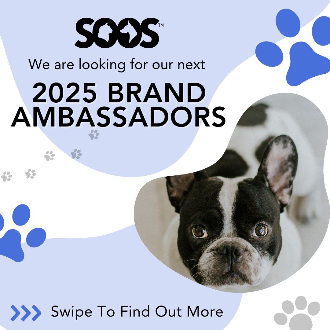 SoosPets's tweet photo. 🚨 We’re Hiring Brand Ambassadors! 🚨

Looking for:
🐾 3 pet professionals (Soos Pro)
🐾 2 pet owners (Soos Pets)
Term: Jan 23 – Apr 24
Apply by: Jan 21
How to Apply:
🐶 Follow us
🐾 Like + RT this tweet
🐕 Tag 3 friends who’d be great https://t.co/s6oIJQfFUt