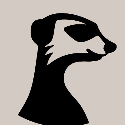 ShelleyLowryTalent tweet media