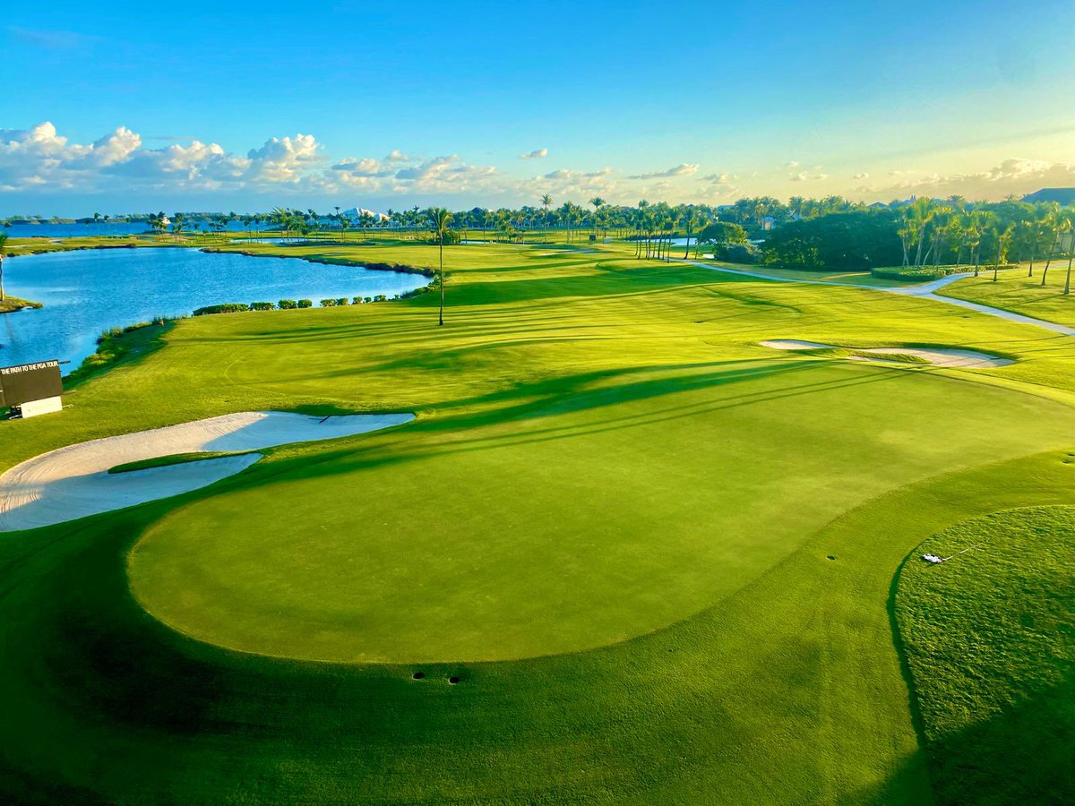 PJ Ringenberger tweet media