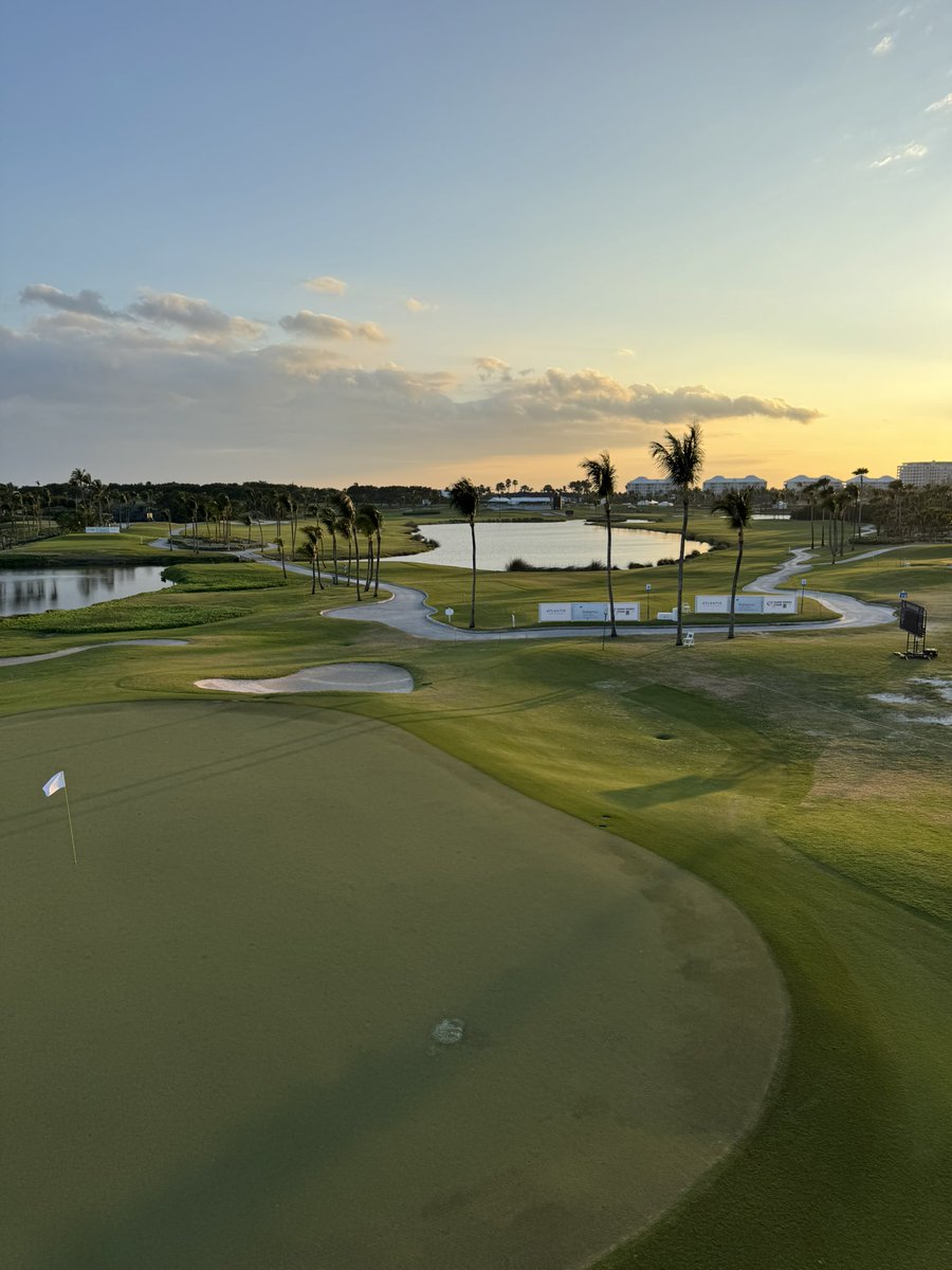 PJ Ringenberger tweet media