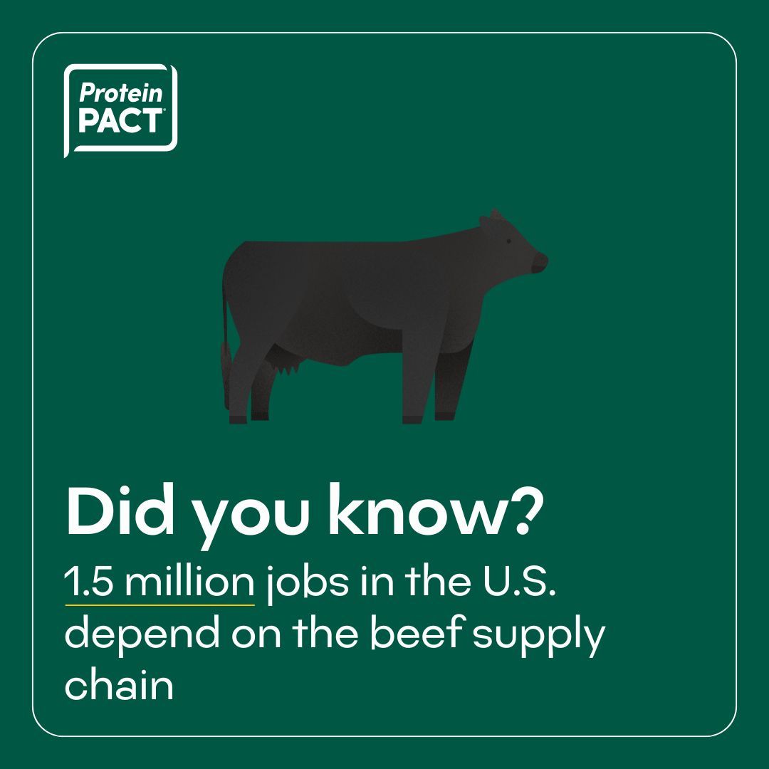 The Protein PACT tweet media