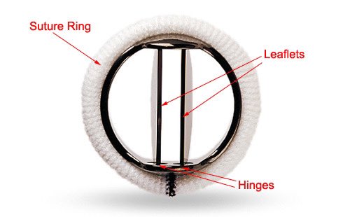 Stuart Yarwood MG tweet media