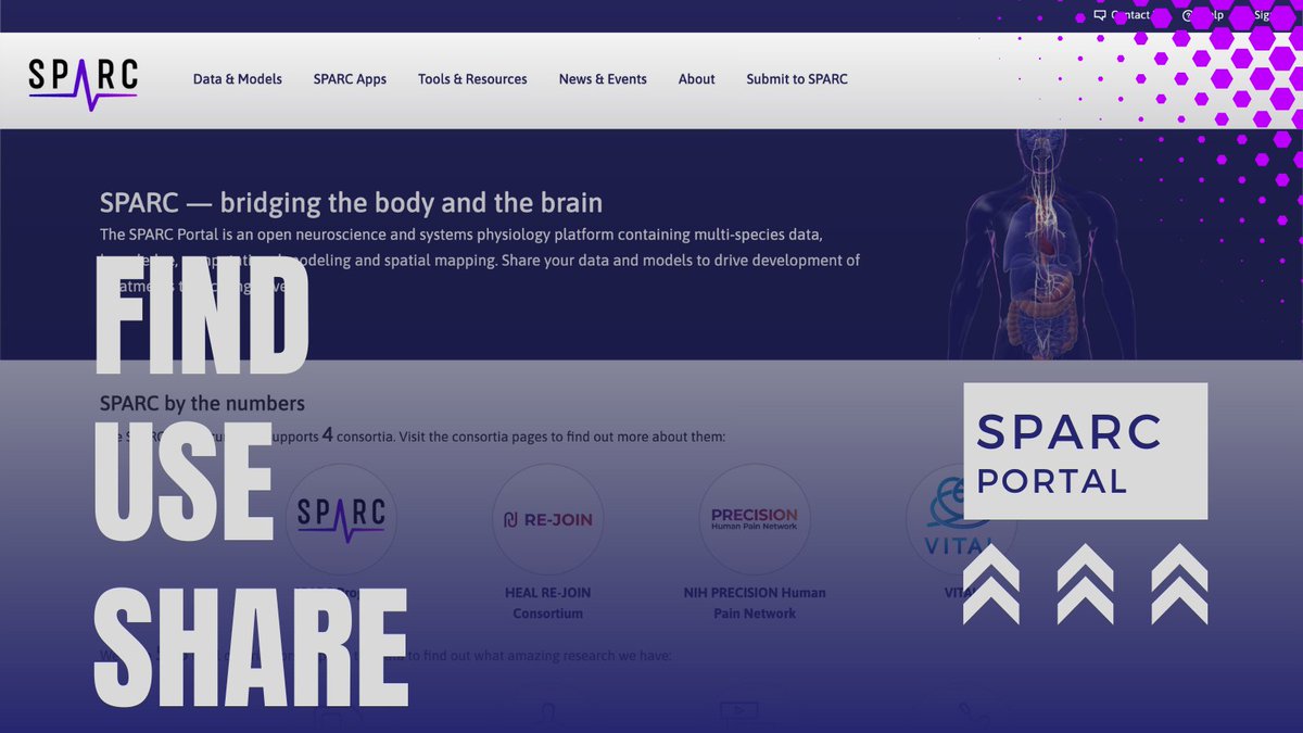 SPARC.science (@sparc_science) on Twitter photo The SPARC repository was developed to curate and publish high-quality datasets related to the autonomic nervous system. Now, all peripheral nervous system data can be hosted. Learn more and contribute your data on the SPARC Portal. sparc.science #NIH_SPARC #openscience The SPARC repository was developed to curate and publish high-quality datasets related to the autonomic nervous system. Now, all peripheral nervous system data can be hosted. Learn more and contribute your data on the SPARC Portal. sparc.science #NIH_SPARC #openscience